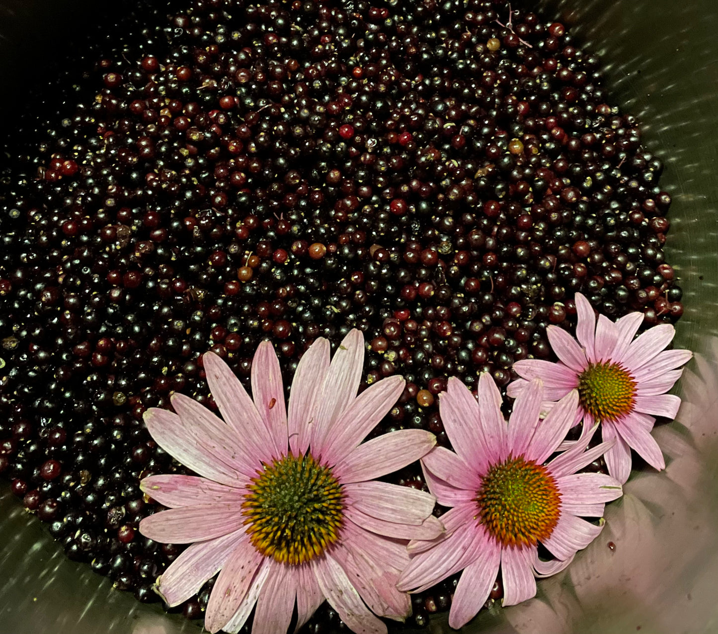 Elderberry Ginger Oxymel