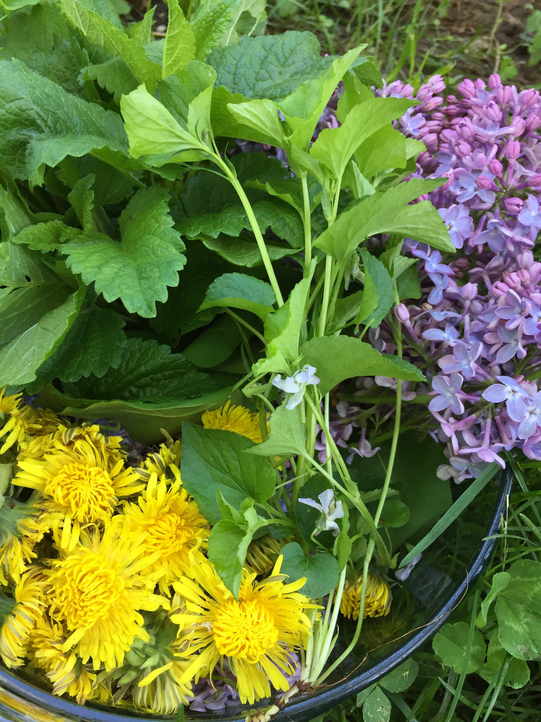 Post Sauna | Herbal Electrolytes