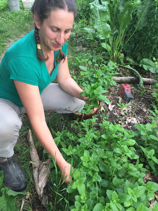 Community Garden Evening