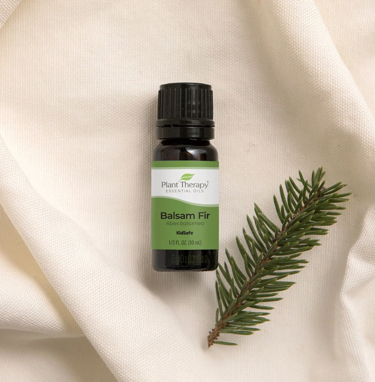 Clove Bud Essential Oil, Organic