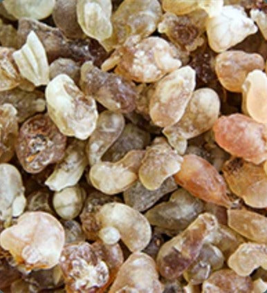Frankincense Carterii Essential Oil, Organic