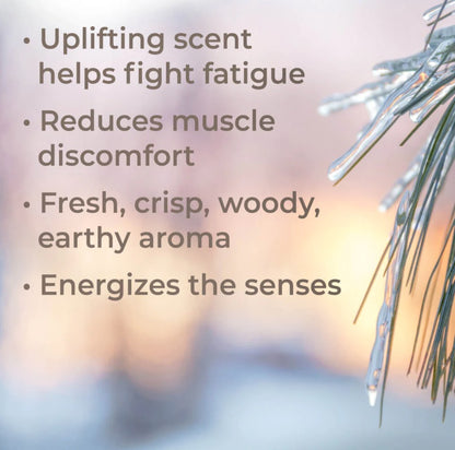 Black Spruce Essential Oil, Organic