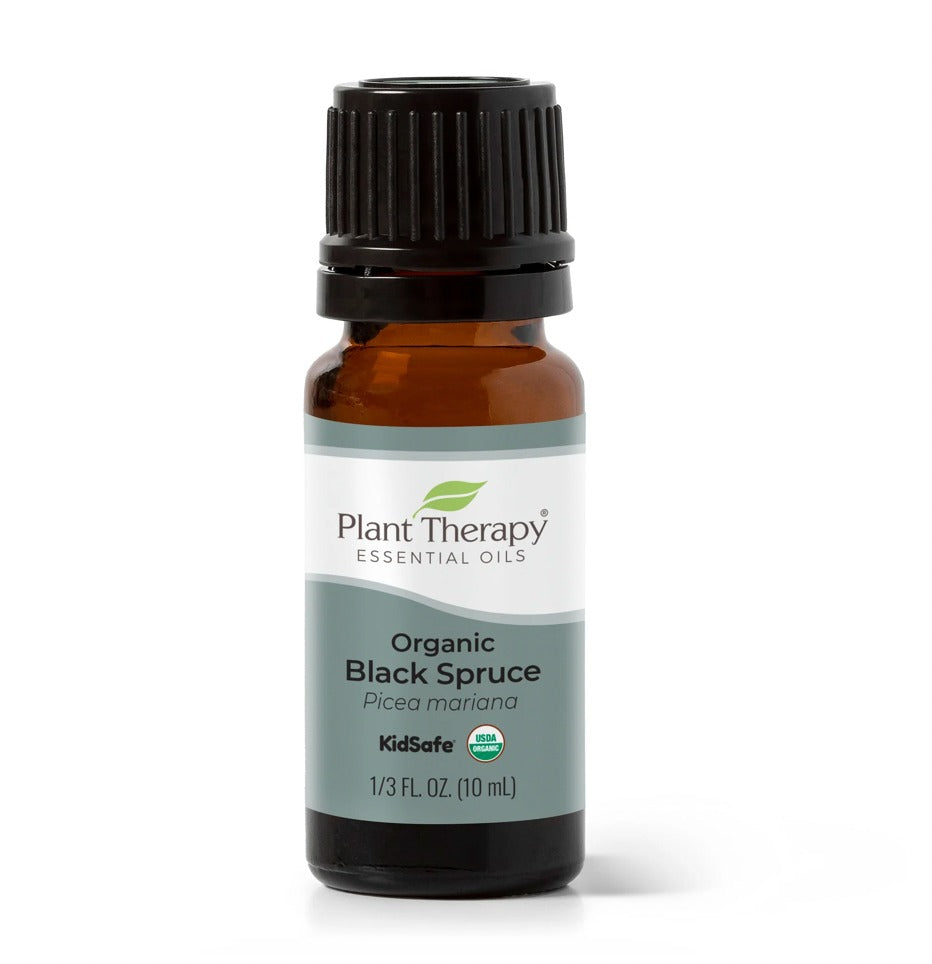 Black Spruce Essential Oil, Organic