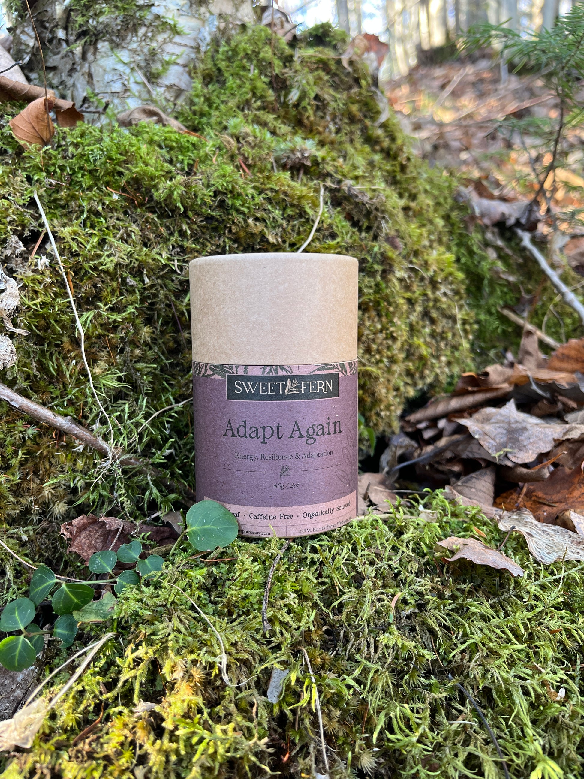 Herbal Tea for nourishing the nervous system and HPA Axis on a bed of moss