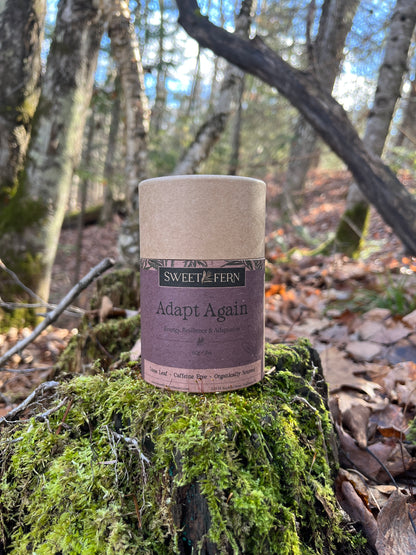 Adapt Again Herbal tea sweet fern Apothecary setting on a mossy tree stump