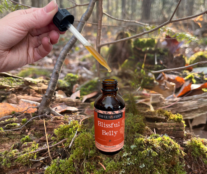 A hand holds a glass dropper above an amber bottle labeled 'Blissful Belly' by Sweet Alchemy, set against a mossy forest floor background.