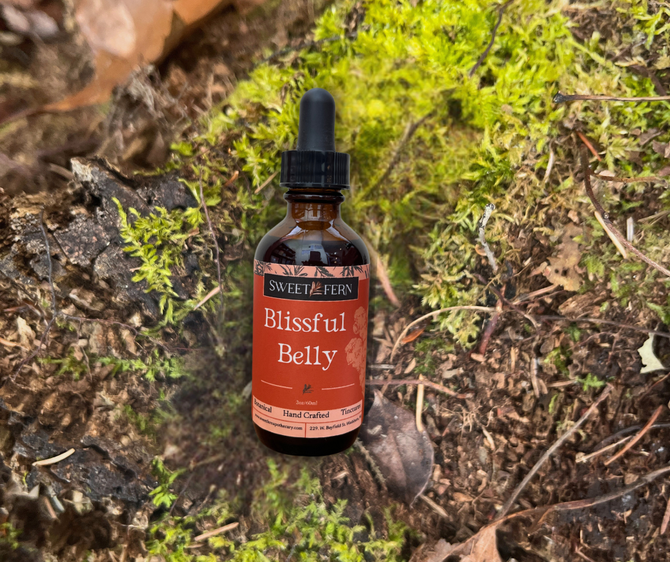 A small amber glass dropper bottle labeled Sweet of Fern Blissful Belly, placed on forest floor moss and bark.