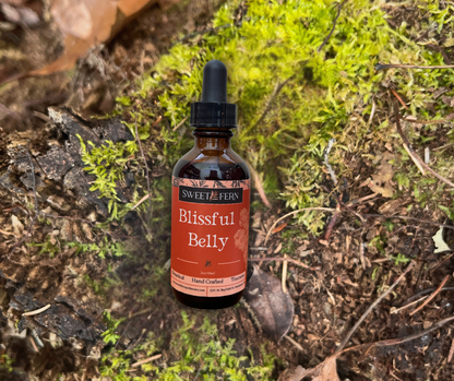 A small amber glass dropper bottle labeled Sweet of Fern Blissful Belly, placed on forest floor moss and bark.