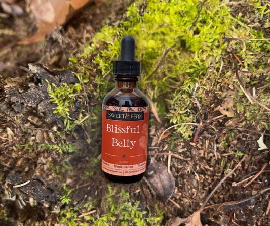 A small amber glass dropper bottle labeled Sweet of Fern Blissful Belly, placed on forest floor moss and bark.