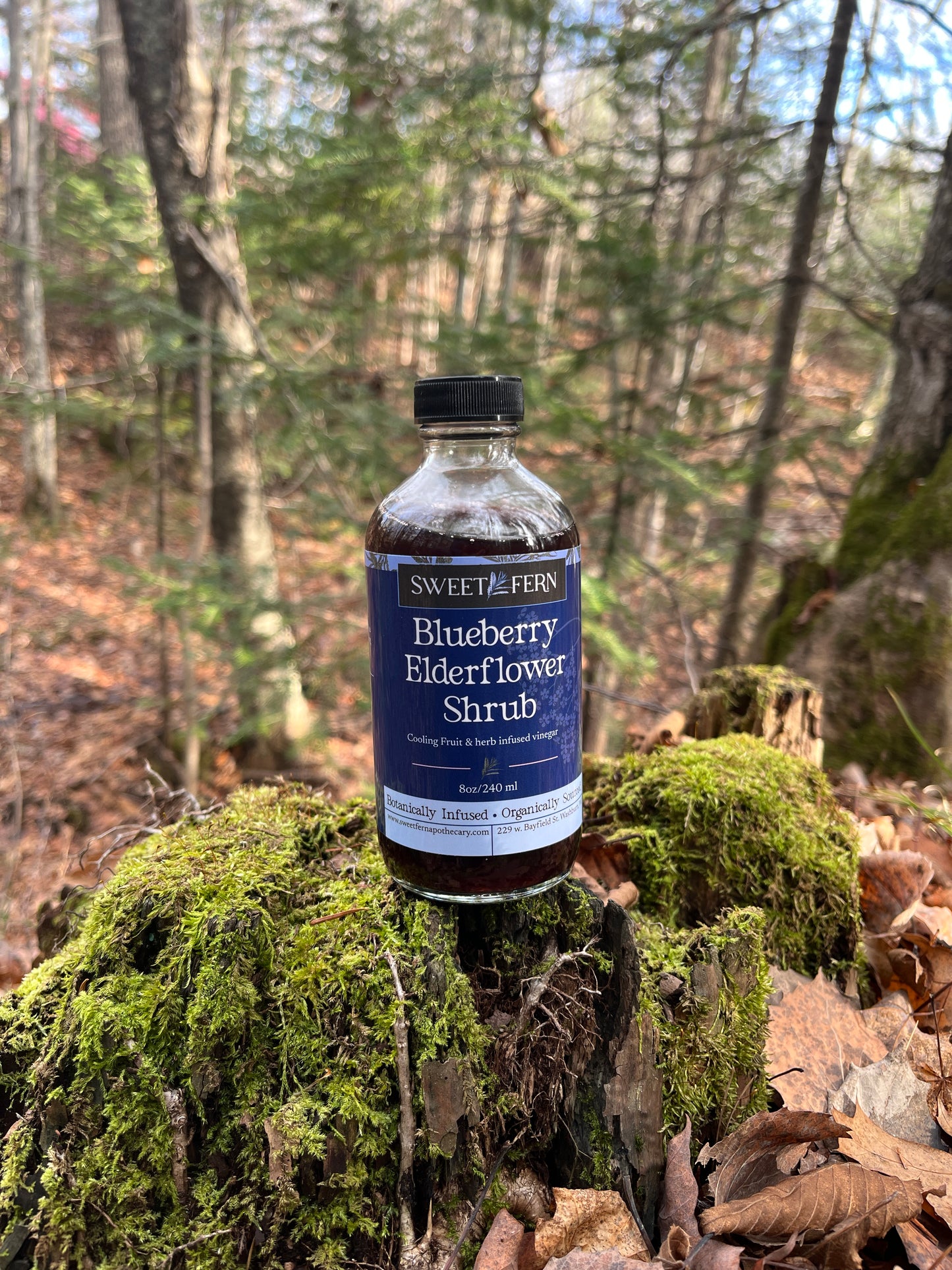 Blueberry Elderflower Shrub