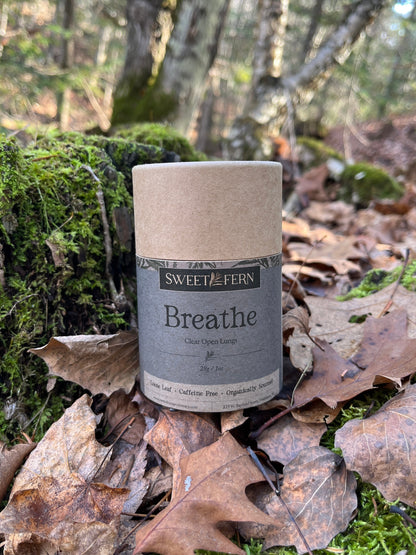 Herbal Tea labeled Breathe setting on forest floor