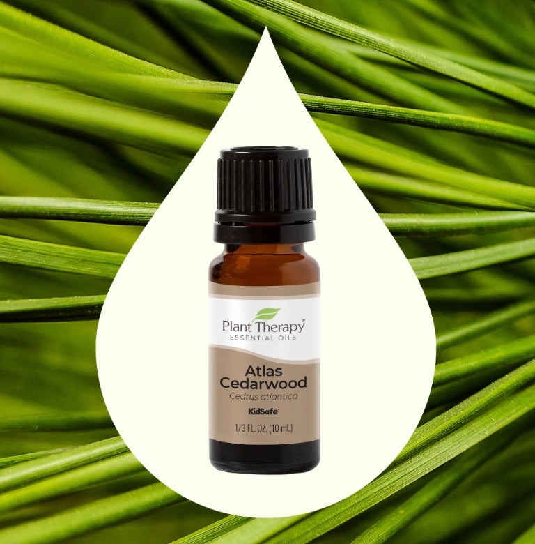 Organic Atlas Cedarwood Essential Oil