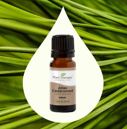 Organic Atlas Cedarwood Essential Oil