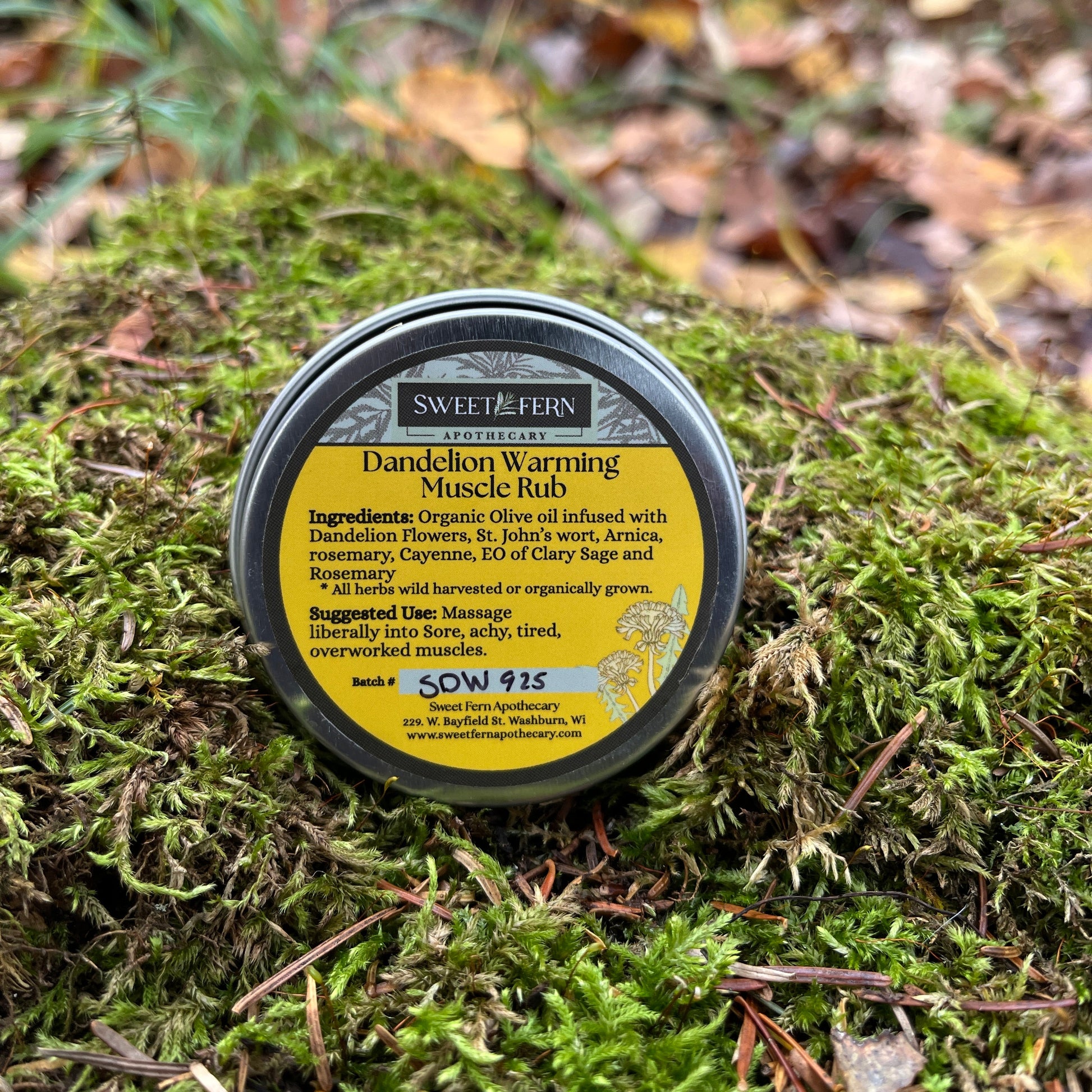 Tin of Sweet Fern Apothecary Dandelion Muscle rub product on a mossy surface