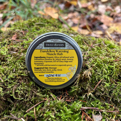 Tin of Sweet Fern Apothecary Dandelion Muscle rub product on a mossy surface