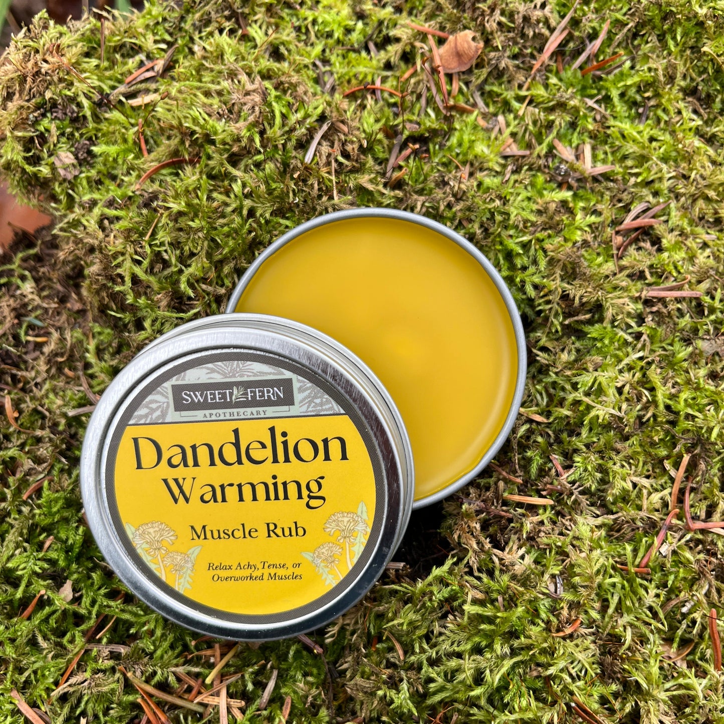 Open tin of dandelion warming muscle rub on a mossy background