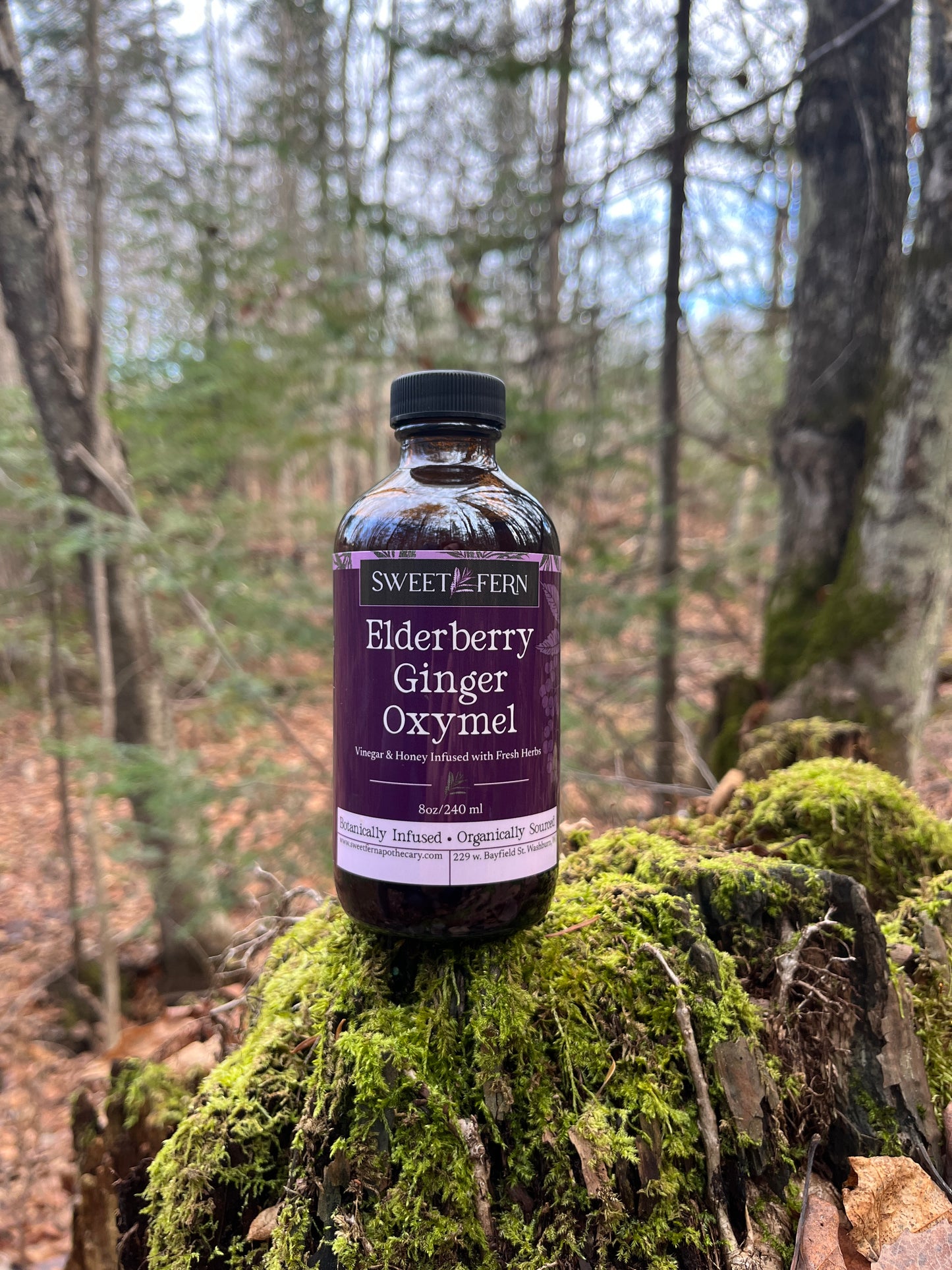 Elderberry Ginger Oxymel