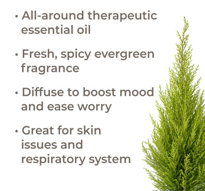 Cypress Essential Oil, Organic