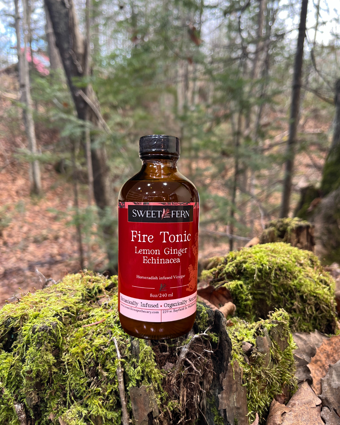 Fire Tonic, Lemon Ginger Echinacea