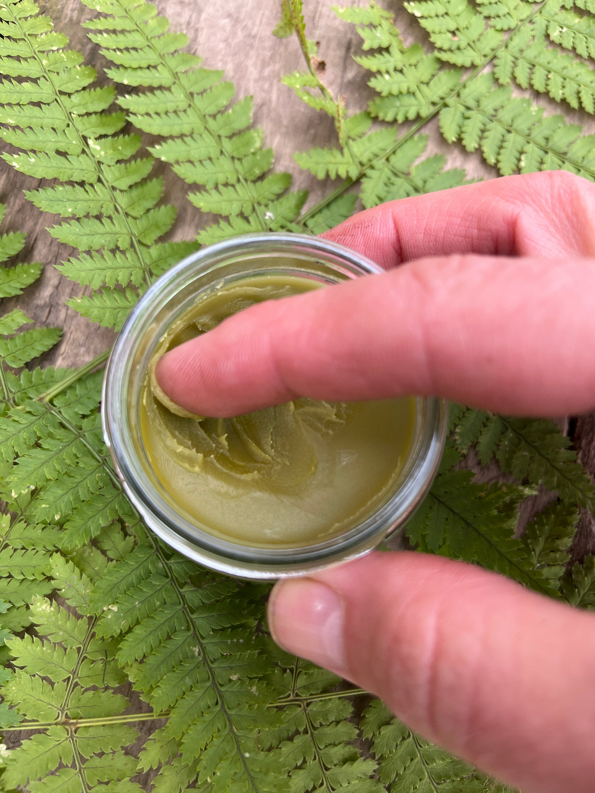 Hand holding a small jar of gGet the funk out on a bed of ferns