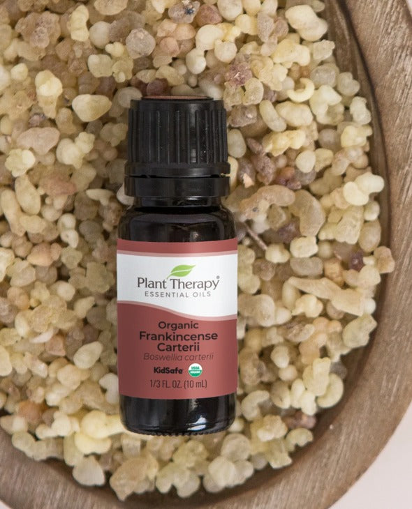 Frankincense Carterii Essential Oil, Organic