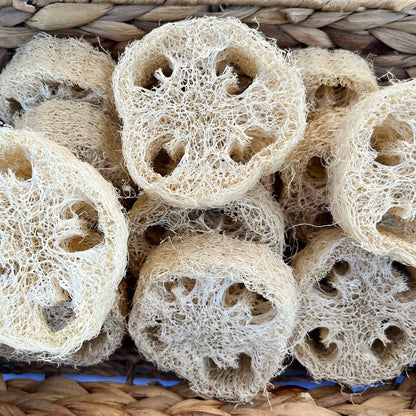 Loofah Slices for Soaps
