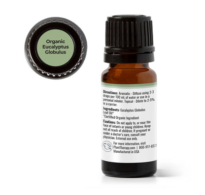Eucalyptus Globulus Essential Oil