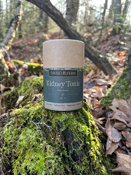 Kidney Tonic