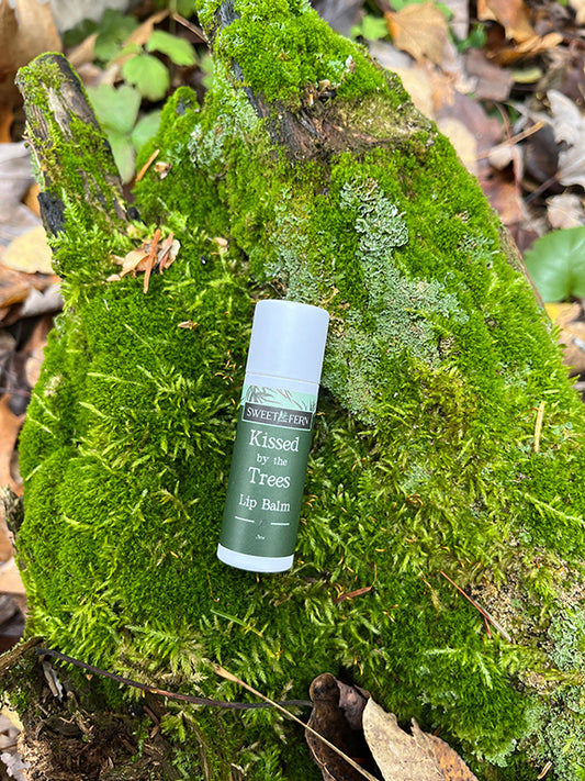 Kissed By the Trees Lip Balm