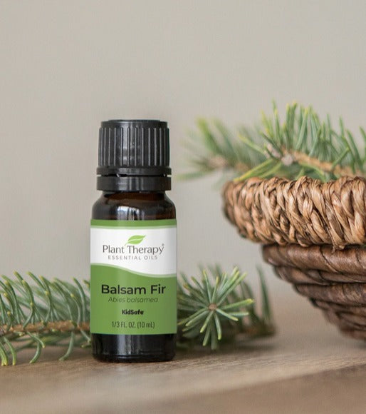 Balsam Fir Essential Oil
