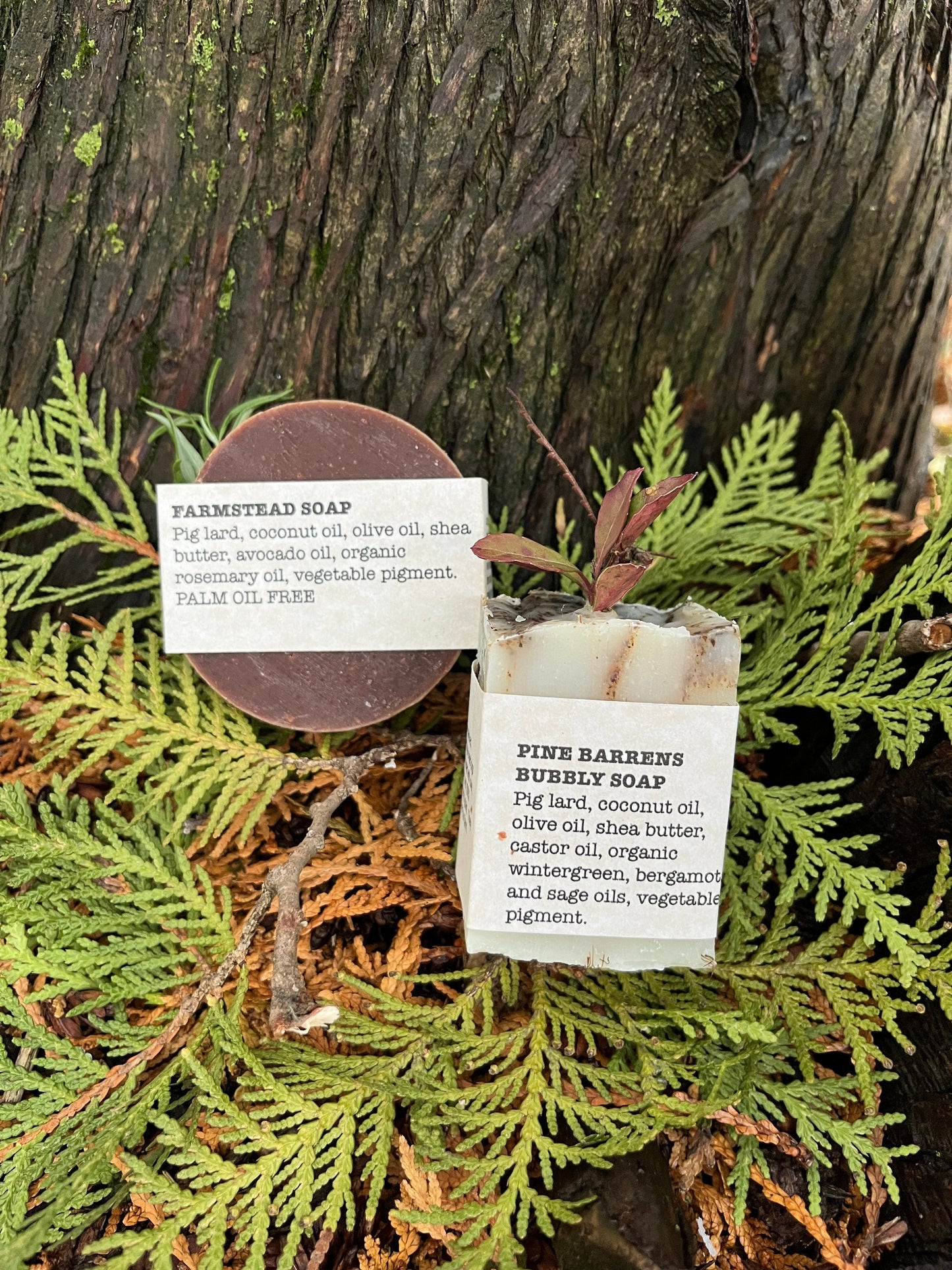 Pine Barrens Bubbly Soap