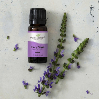 Clary Sage Essential Oil