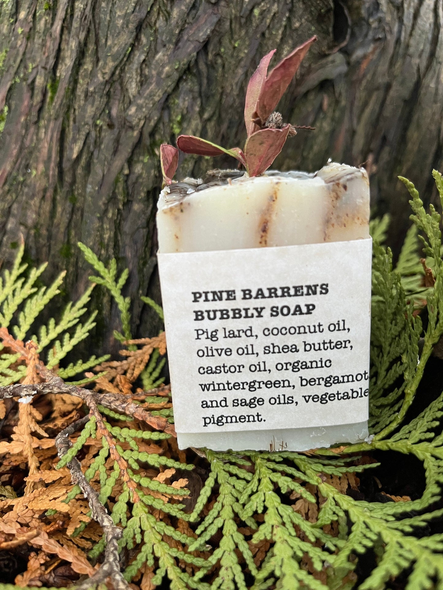 Pine Barrens Bubbly Soap