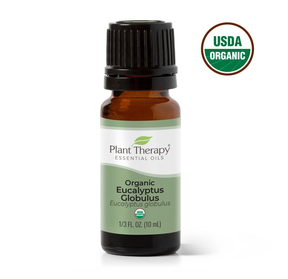 Eucalyptus Globulus Essential Oil