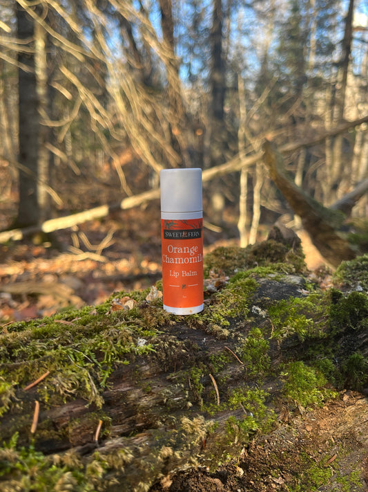 Lip balm on a mossy tree trunk with blurred trees and sky in the background