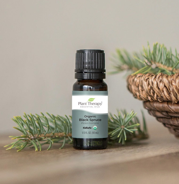Black Spruce Essential Oil, Organic