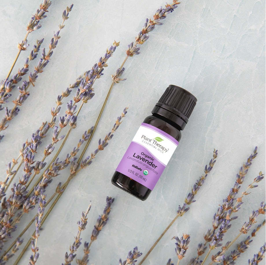Lavender Essential Oil