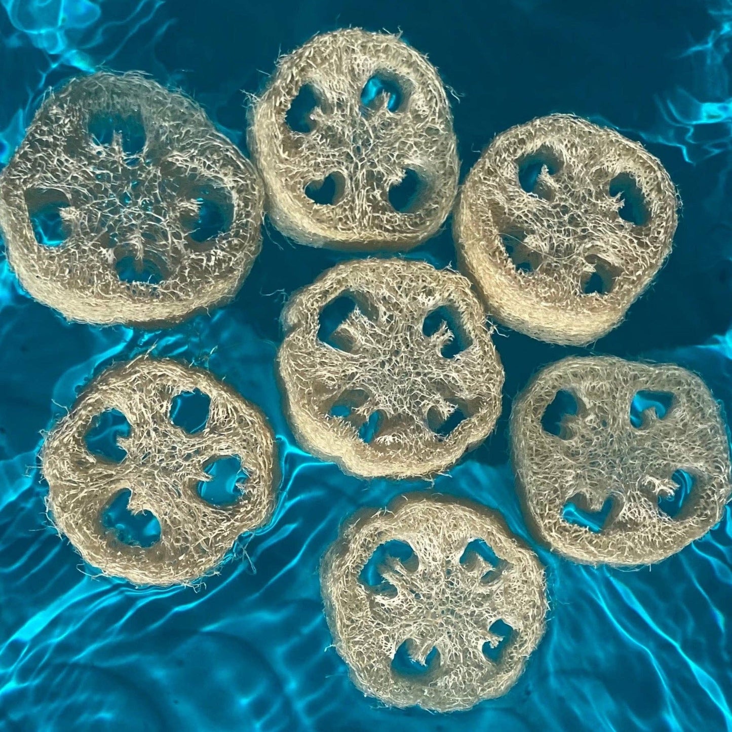 Loofah Slices for Soaps