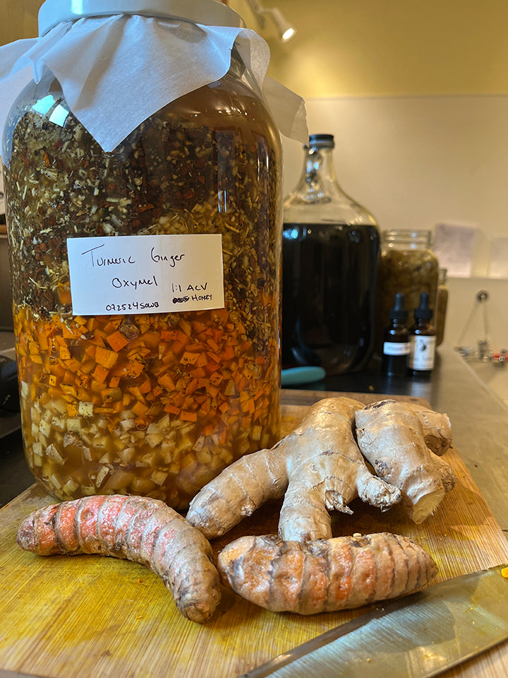 Turmeric Ginger Oxymel