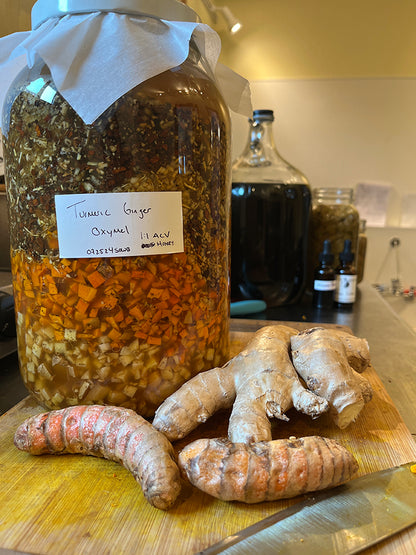 Turmeric Ginger Oxymel
