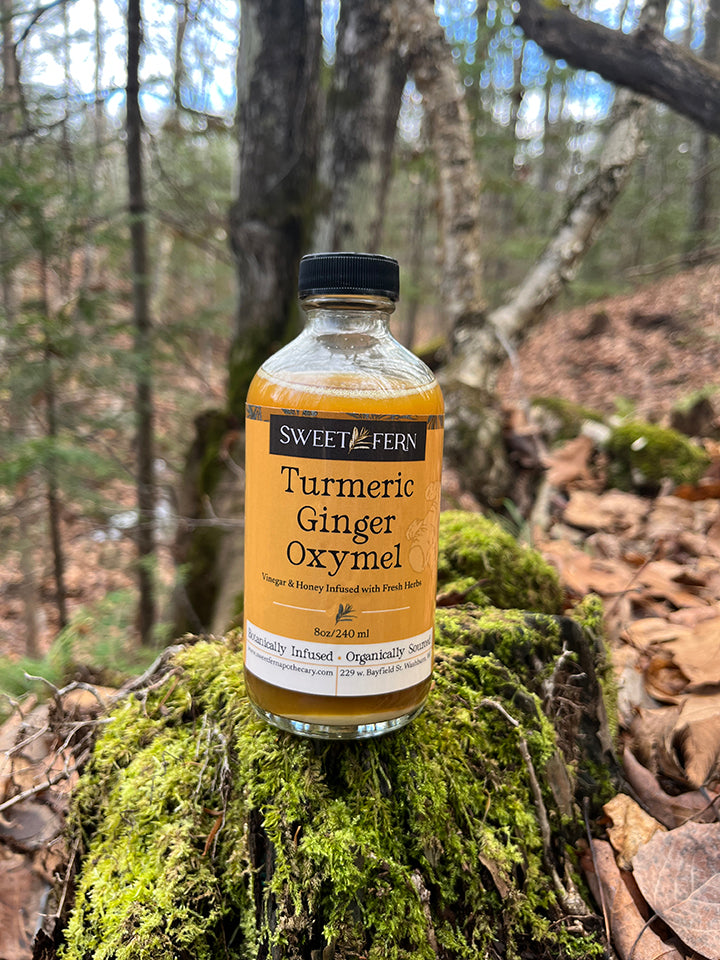Turmeric Ginger Oxymel