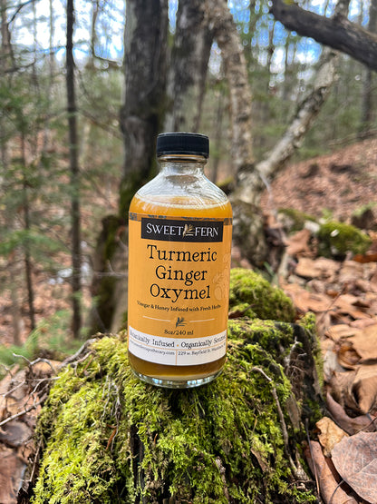 Turmeric Ginger Oxymel