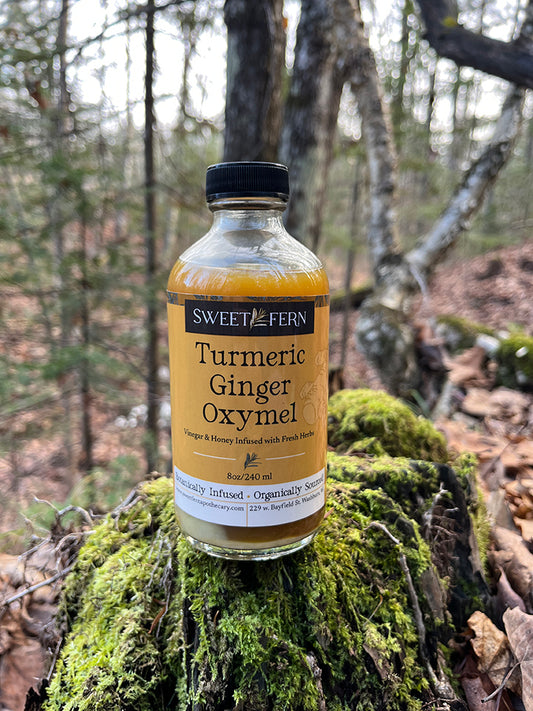 Turmeric Ginger Oxymel
