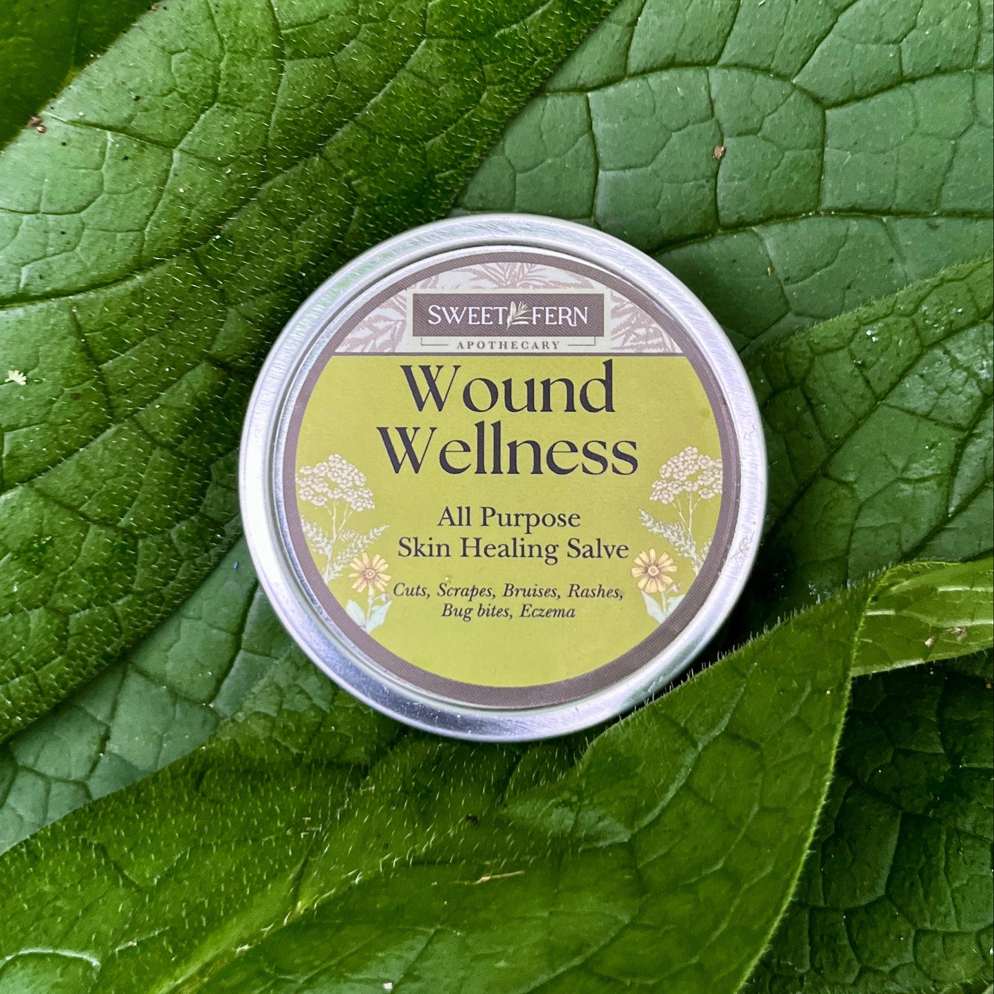 Wound Wellness
