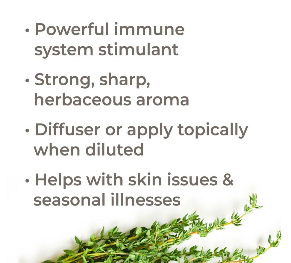 Organic Thyme Thymol Essential Oil