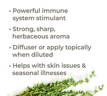 Organic Thyme Thymol Essential Oil