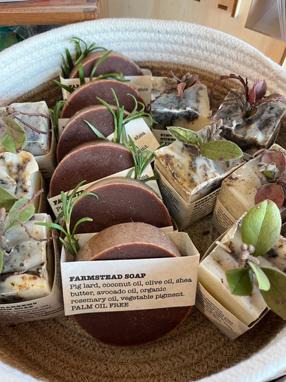 Pine Barrens Bubbly Soap