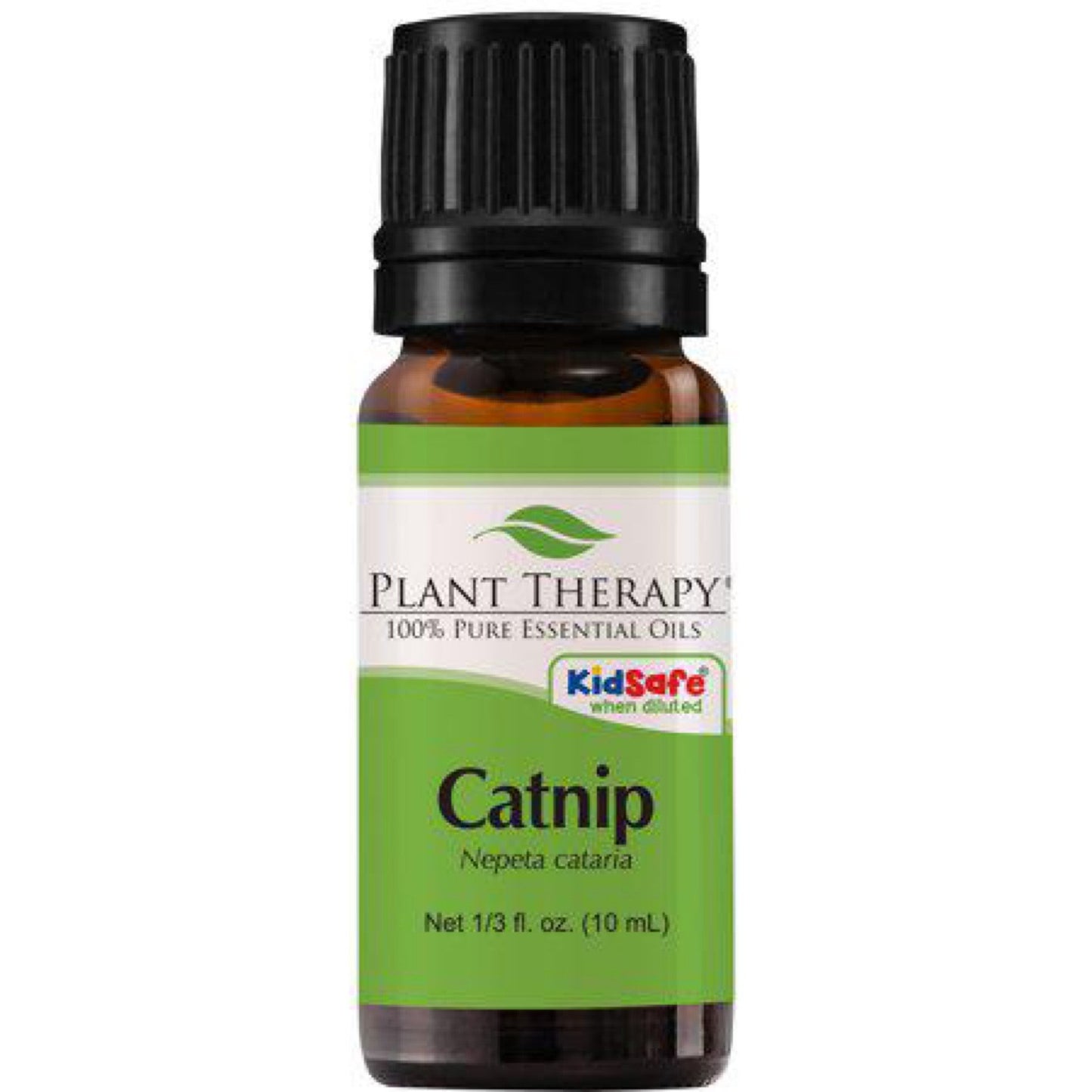 Catnip Essential Oil