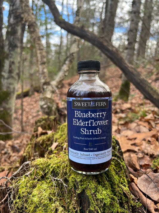 Blueberry Elderflower Shrub