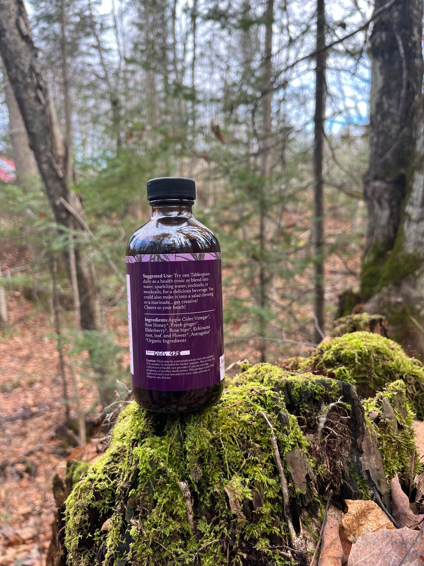 Elderberry Ginger Oxymel